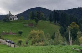 Teren 13.570 mp, Moieciu Pestera