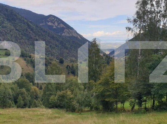 Teren de vânzare Pestera - 154419TV | BLITZ Brașov | Poza16