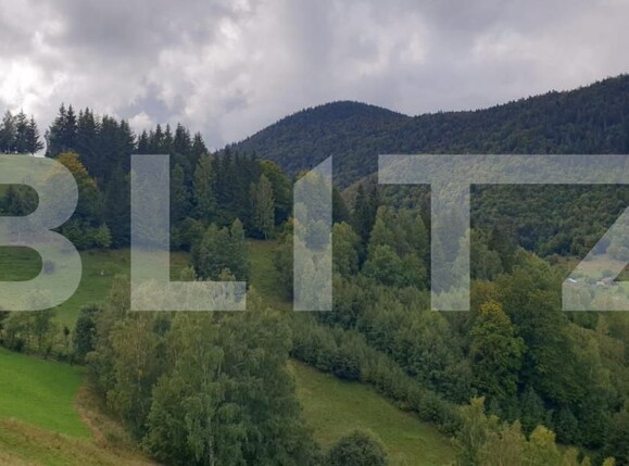 Teren de vânzare Pestera - 154419TV | BLITZ Brașov | Poza5