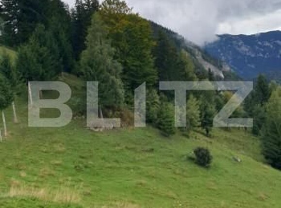 Teren de vânzare Pestera - 154419TV | BLITZ Brașov | Poza10