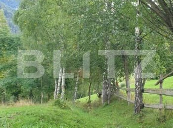 Teren de vânzare Pestera - 154419TV | BLITZ Brașov | Poza18