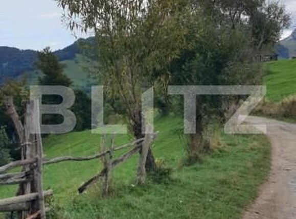 Teren de vânzare Pestera - 154419TV | BLITZ Brașov | Poza13