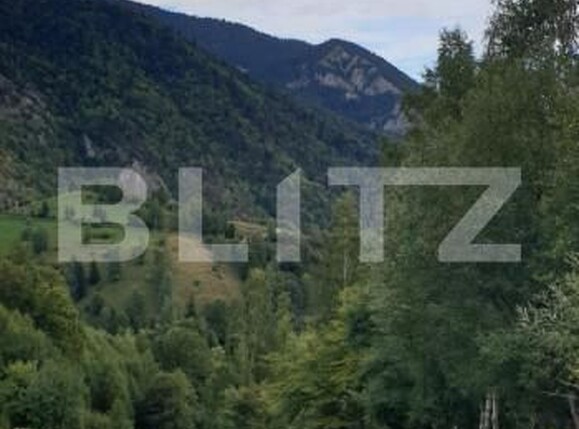 Teren de vânzare Pestera - 154419TV | BLITZ Brașov | Poza12