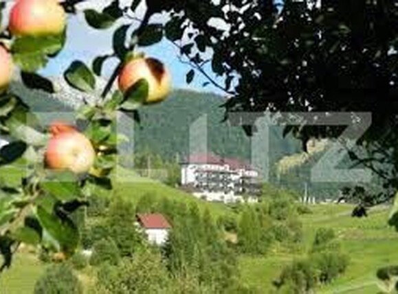 Teren de vânzare Pestera - 154419TV | BLITZ Brașov | Poza2