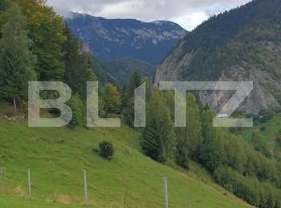 Teren de vânzare Pestera - 154419TV | BLITZ Brașov | Poza14