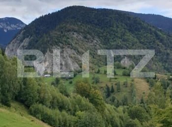 Teren de vânzare Pestera - 154419TV | BLITZ Brașov | Poza15