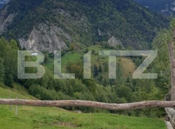 Teren de vânzare Pestera - 154419TV | BLITZ Brașov | Poza9