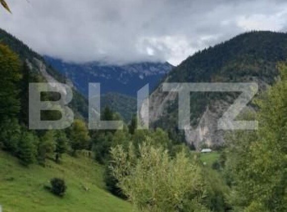 Teren de vânzare Pestera - 154419TV | BLITZ Brașov | Poza7