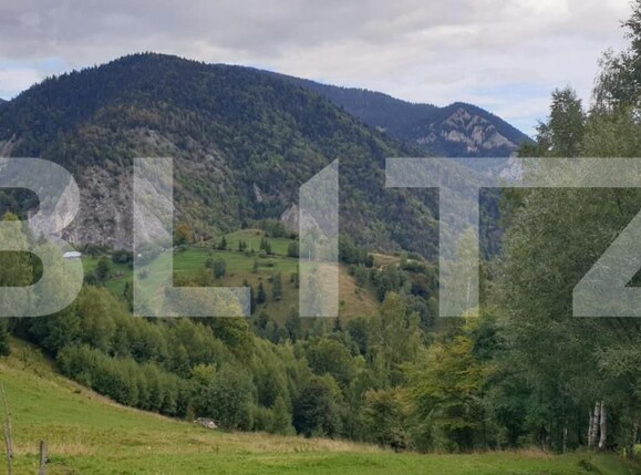 Teren de vânzare Pestera - 154419TV | BLITZ Brașov | Poza17