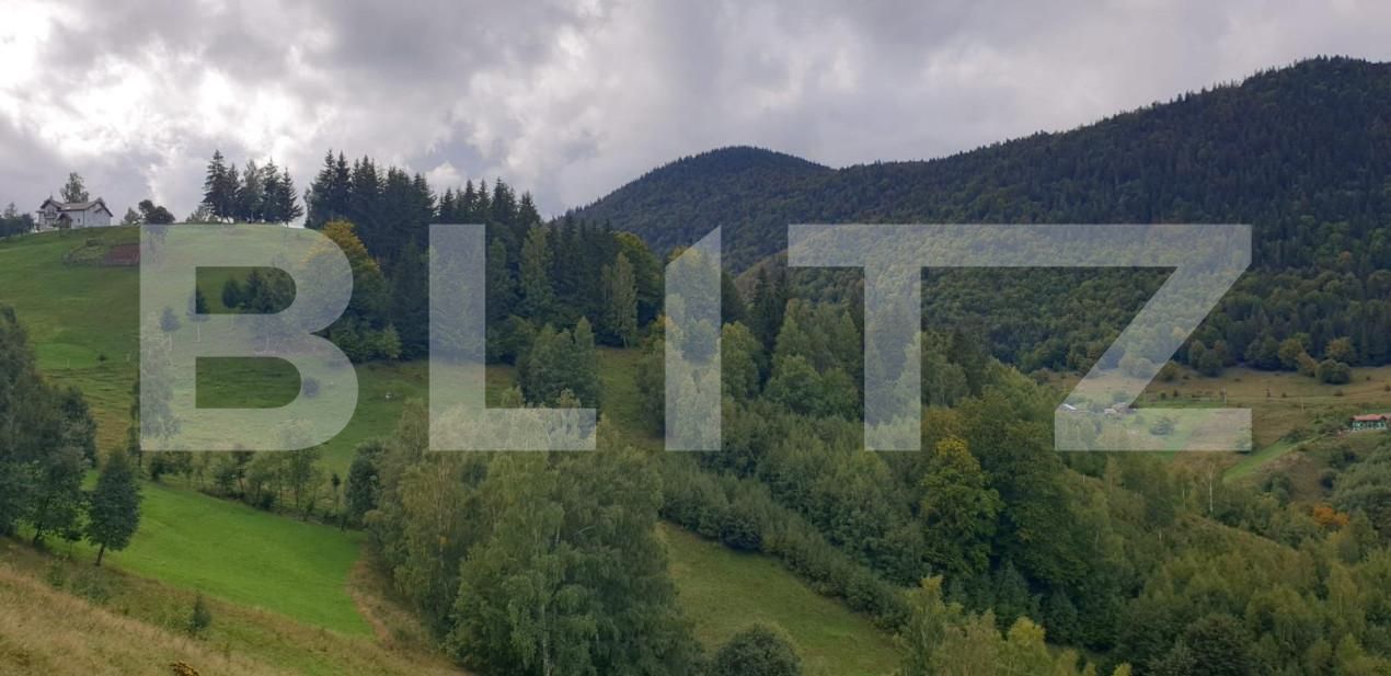 Teren de vânzare Pestera - 154419TV | BLITZ Brașov | Poza5