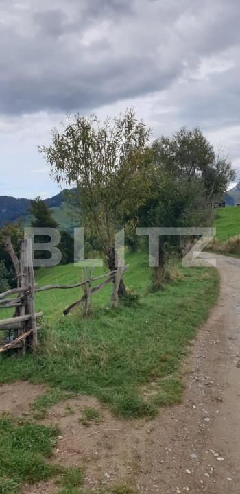 Teren de vânzare Pestera - 154419TV | BLITZ Brașov | Poza13