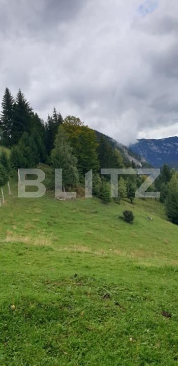 Teren de vânzare Pestera - 154419TV | BLITZ Brașov | Poza10