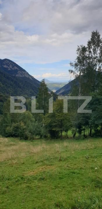 Teren de vânzare Pestera - 154419TV | BLITZ Brașov | Poza11