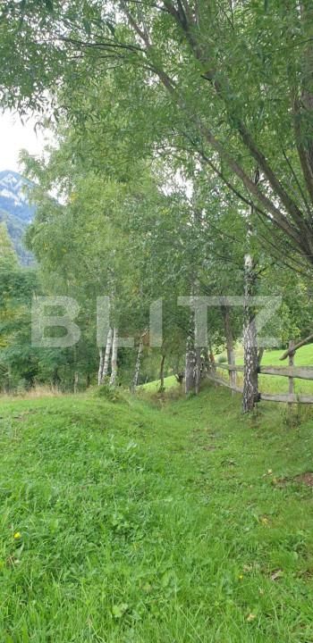 Teren de vânzare Pestera - 154419TV | BLITZ Brașov | Poza18