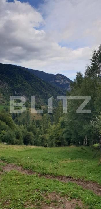 Teren de vânzare Pestera - 154419TV | BLITZ Brașov | Poza12