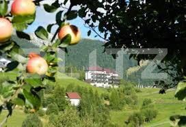 Teren de vânzare Pestera - 154419TV | BLITZ Brașov | Poza2