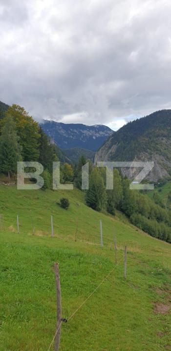 Teren de vânzare Pestera - 154419TV | BLITZ Brașov | Poza14