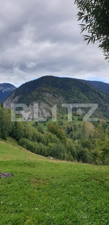 Teren de vânzare Pestera - 154419TV | BLITZ Brașov | Poza15