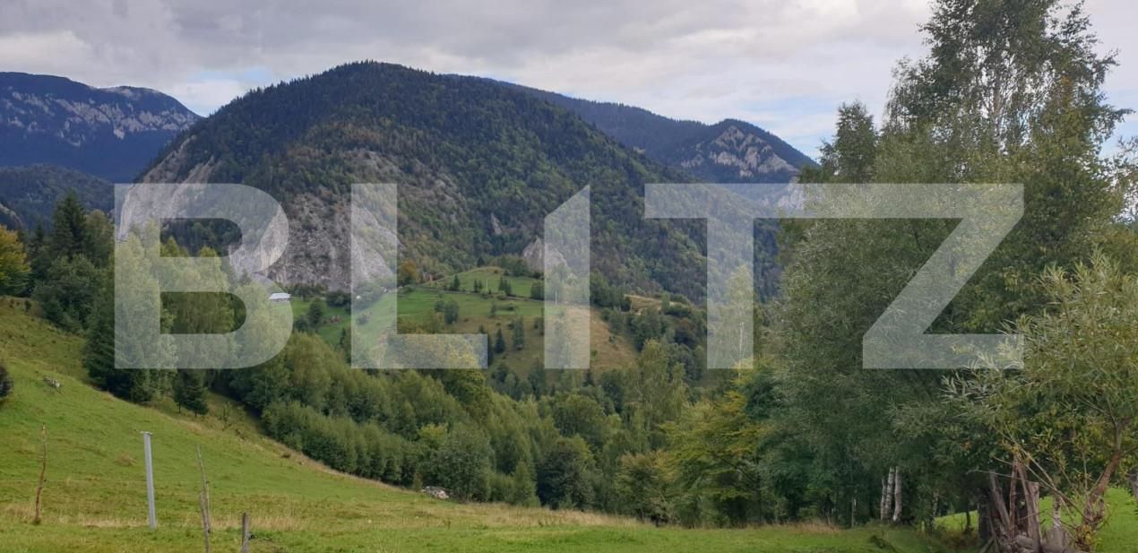 Teren de vânzare Pestera - 154419TV | BLITZ Brașov | Poza17