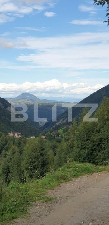 Teren de vânzare Pestera - 154419TV | BLITZ Brașov | Poza4
