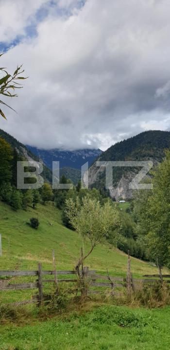 Teren de vânzare Pestera - 154419TV | BLITZ Brașov | Poza7