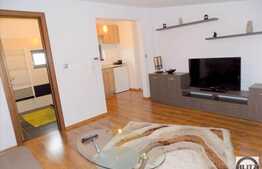 2 camere, 55 mp, imobil nou, mobilat modern, tip casa, parcare, strada Trifoiului