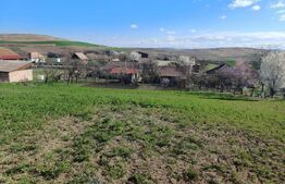 Casa + Teren de vanzare in Boian - Hodai !!! 