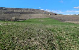 Casa + Teren de vanzare in Boian - Hodai !!! 