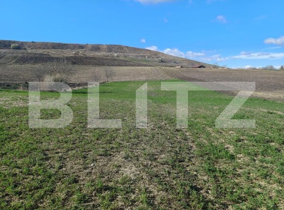 Casa de vânzare 3 camere Hodai-Boian - 154445CV | BLITZ Cluj-Napoca | Poza2