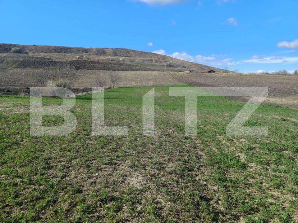 Casa de vânzare 3 camere Hodai-Boian - 154445CV | BLITZ Cluj-Napoca | Poza2