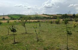 Casa individuala de vanzare cu teren generos !!!