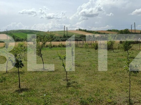 Casa de vânzare 3 camere Calarasi-Gara - 154446CV | BLITZ Cluj-Napoca | Poza17