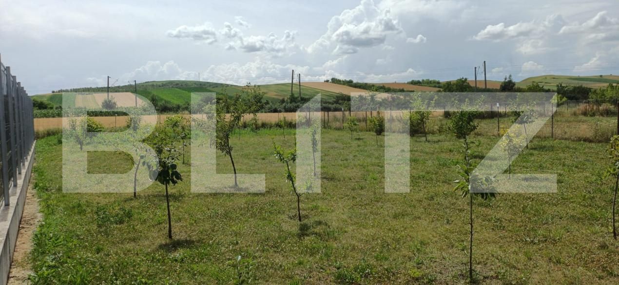 Casa de vânzare 3 camere Calarasi-Gara - 154446CV | BLITZ Cluj-Napoca | Poza17