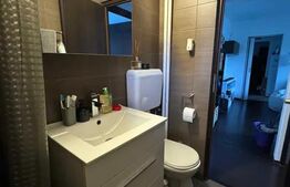 Apartament 2 camere mobilat modern