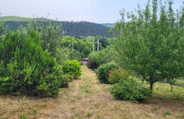 Comision 0%! Casa individuala, 112 mp utili, 2700 mp teren, livada, Gilau