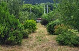 Comision 0%! Casa individuala, 112 mp utili, 2700 mp teren, livada, Gilau