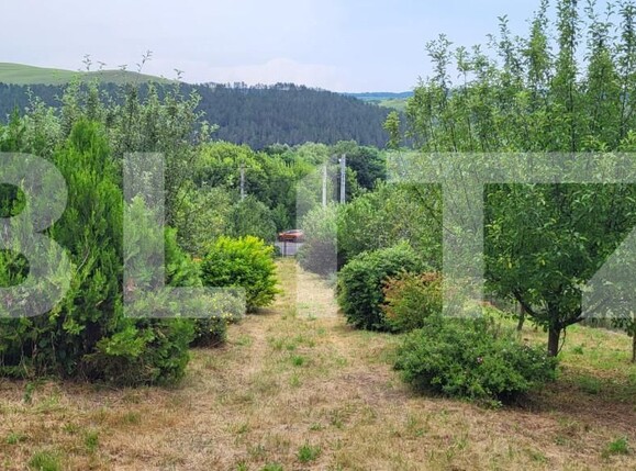 Casa de vânzare 4 camere Gilău - 154470CV | BLITZ Cluj-Napoca | Poza3