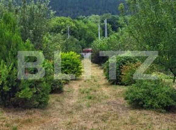 Casa de vânzare 4 camere Gilău - 154470CV | BLITZ Cluj-Napoca | Poza17