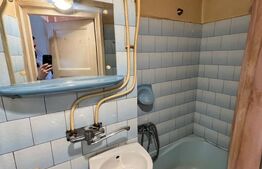 Garsoniera 19 mp, etaj intermediar, zona Horea 