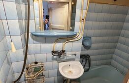 Garsoniera 19 mp, etaj intermediar, zona Horea 