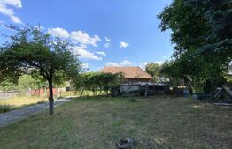 Casa locuibila cu teren generos 2100 mp, front 37,5 ml in Salicea!