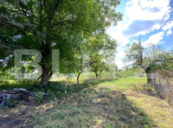 Casa de vânzare 3 camere Salicea - 154527CV | BLITZ Cluj-Napoca | Poza4