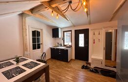 Apartament modern de 2 camere si curte comuna