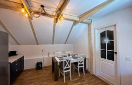 Apartament modern de 2 camere si curte comuna