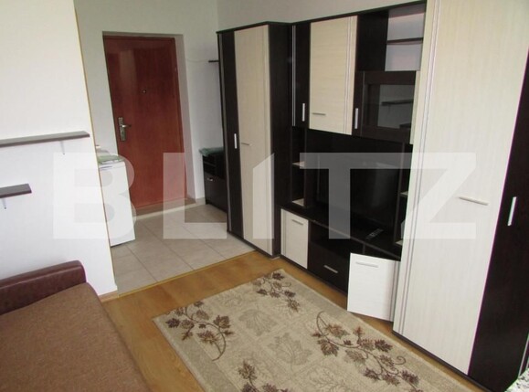 Garsonieră de închiriat Baciu - 154580AI | BLITZ Cluj-Napoca | Poza1