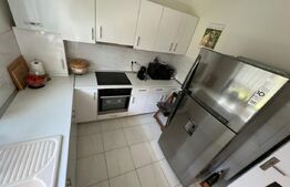 Duplex la cheie, 5 camere, 120 mp+250 mp gradina, zona Urusagului