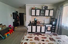 Apartament 3 camere, gradina de 60 mp ,zona Eroilor