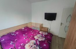 Apartament 3 camere, gradina de 60 mp ,zona Eroilor