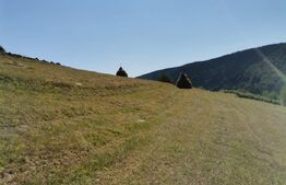 Teren 10.000 mp, extravilan, priveliste superba, Rachitele