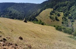 Teren 10.000 mp, extravilan, priveliste superba, Rachitele